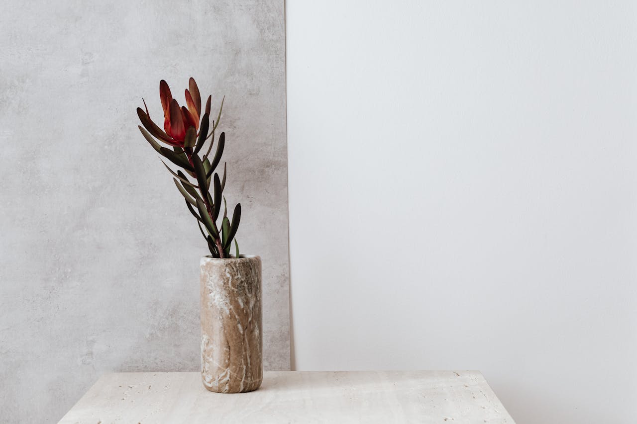 Elegant minimalist composition with protea flower in a marble vase against a neutral background.